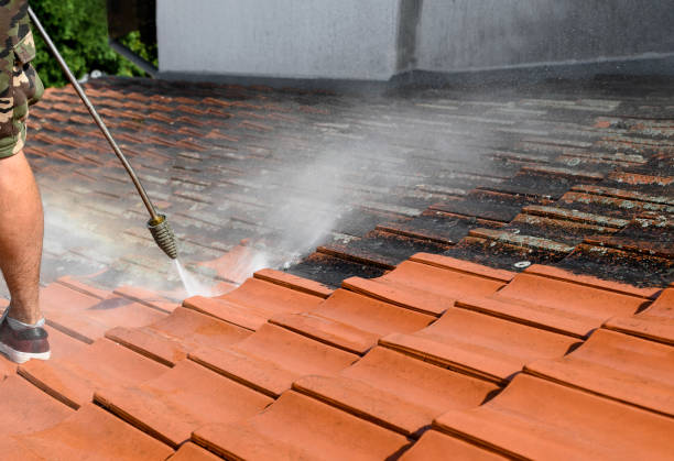 Best Concrete Pressure Washing  in Weeping Water, NE